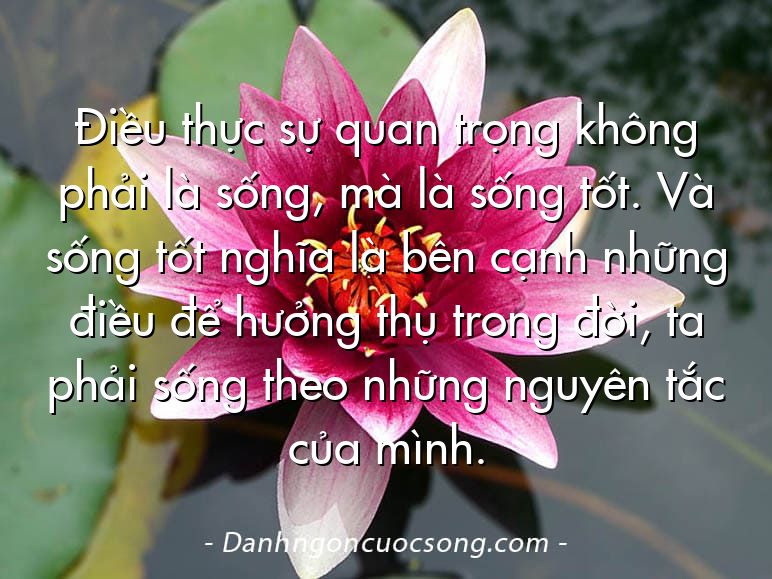 Điều thực sự quan trọng không phải là sống, mà là sống tốt. Và sống tốt nghĩa là bên cạnh những điều để hưởng thụ trong đời, ta phải sống theo những nguyên tắc của mình.