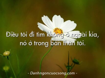 Điều tôi đi tìm không ở ngoài kia, nó ở trong bản thân tôi.