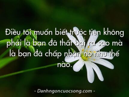 Điều tôi muốn biết trước tiên không phải là bạn đã thất bại ra sao mà là bạn đã chấp nhận nó như thế nào.