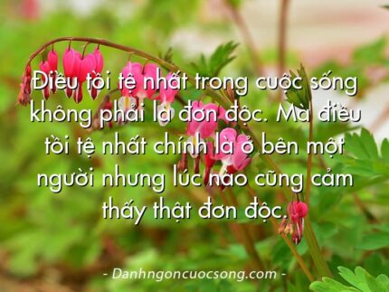Điều tồi tệ nhất trong cuộc sống không phải là đơn độc. Mà điều tồi tệ nhất chính là ở bên một người nhưng lúc nào cũng cảm thấy thật đơn độc.