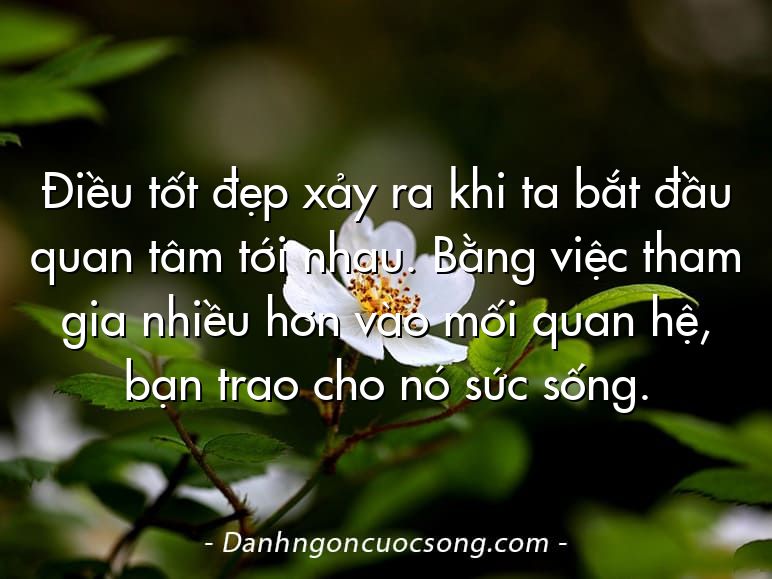 Điều tốt đẹp xảy ra khi ta bắt đầu quan tâm tới nhau. Bằng việc tham gia nhiều hơn vào mối quan hệ, bạn trao cho nó sức sống.