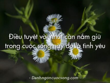 Điều tuyệt vời nhất cần nắm giữ trong cuộc sống này đó là tình yêu