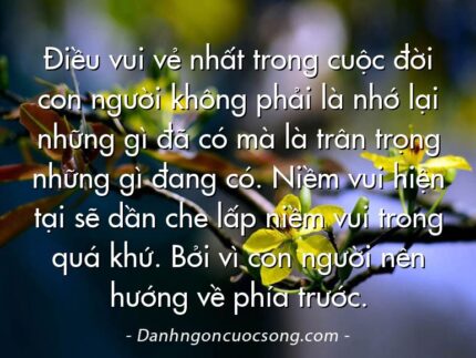 Điều vui vẻ nhất trong cuộc đời con người không phải là nhớ lại những gì đã có mà là trân trọng những gì đang có. Niềm vui hiện tại sẽ dần che lấp niềm vui trong quá khứ. Bởi vì con người nên hướng về phía trước.