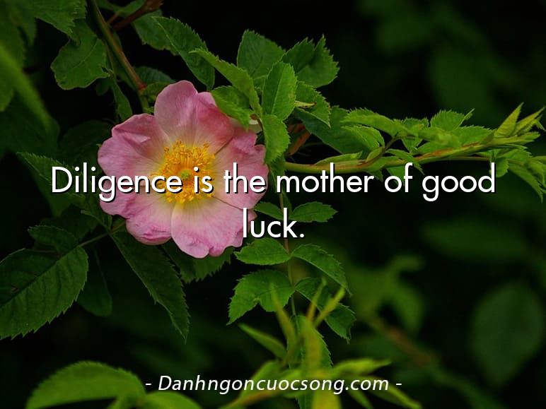 Diligence is the mother of good luck.