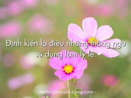 Định kiến là điều những thằng ngu sử dụng làm lý lẽ.