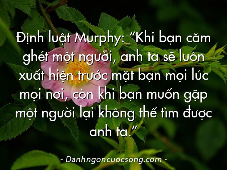 Định luật Murphy: “Khi bạn căm ghét một người, anh ta sẽ luôn xuất hiện trước mặt bạn mọi lúc mọi nơi, còn khi bạn muốn gặp một người lại không thể tìm được anh ta.”
