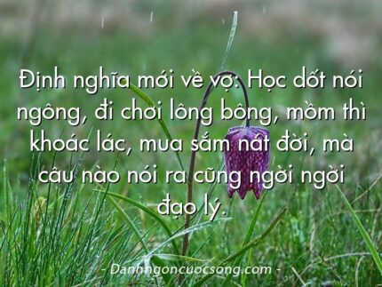 Định nghĩa mới về vợ: Học dốt nói ngông, đi chơi lông bông, mồm thì khoác lác, mua sắm nát đời, mà câu nào nói ra cũng ngời ngời đạo lý.