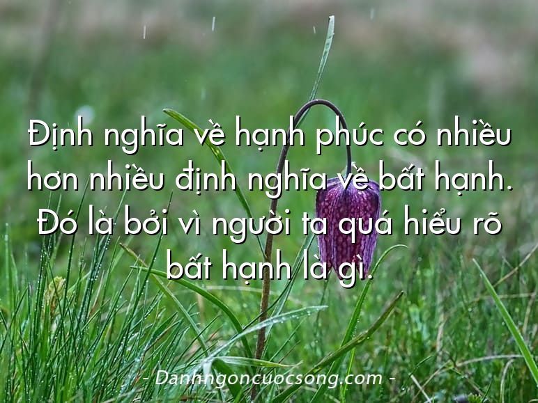 Định nghĩa về hạnh phúc có nhiều hơn nhiều định nghĩa về bất hạnh. Đó là bởi vì người ta quá hiểu rõ bất hạnh là gì.