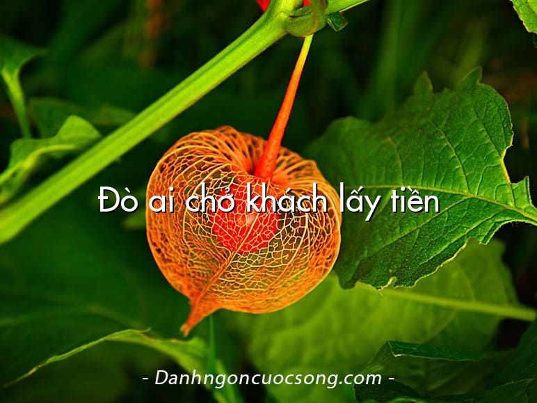Đò ai chở khách lấy tiền
