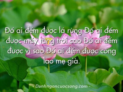 Đố ai đếm được lá rừng Đố ai đếm được mấy tầng trời cao Đố ai đếm được vì sao Đố ai đếm được công lao mẹ già.