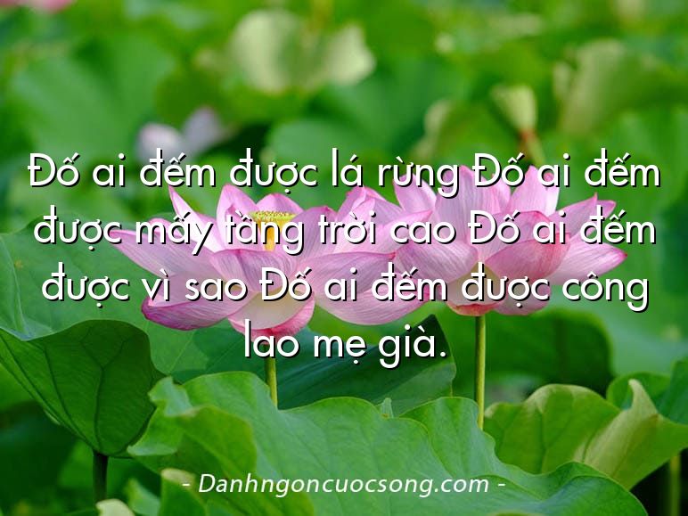 Đố ai đếm được lá rừng Đố ai đếm được mấy tầng trời cao Đố ai đếm được vì sao Đố ai đếm được công lao mẹ già.