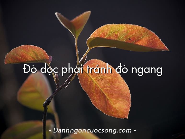 Đò dọc phải tránh đò ngang
