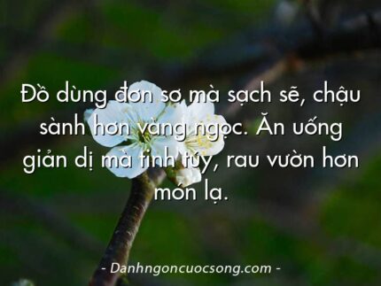 Đồ dùng đơn sơ mà sạch sẽ, chậu sành hơn vàng ngọc. Ăn uống giản dị mà tinh túy, rau vườn hơn món lạ.