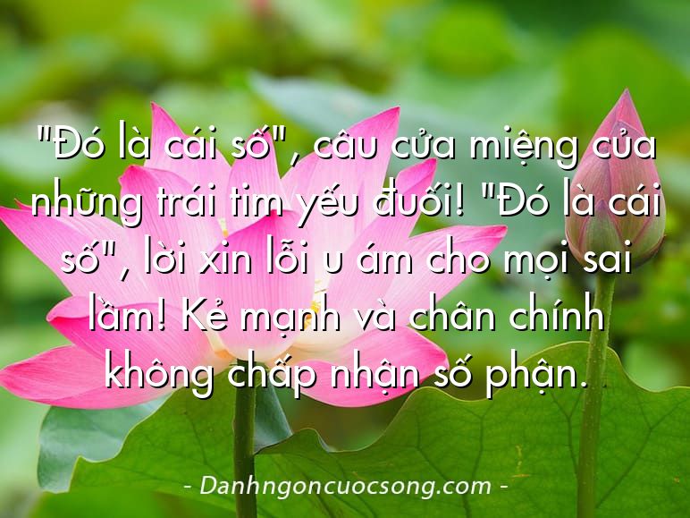 "Đó là cái số", câu cửa miệng của những trái tim yếu đuối! "Đó là cái số", lời xin lỗi u ám cho mọi sai lầm! Kẻ mạnh và chân chính không chấp nhận số phận.