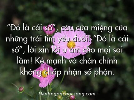 “Đó là cái số”, câu cửa miệng của những trái tim yếu đuối! “Đó là cái số”, lời xin lỗi u ám cho mọi sai lầm! Kẻ mạnh và chân chính không chấp nhận số phận.