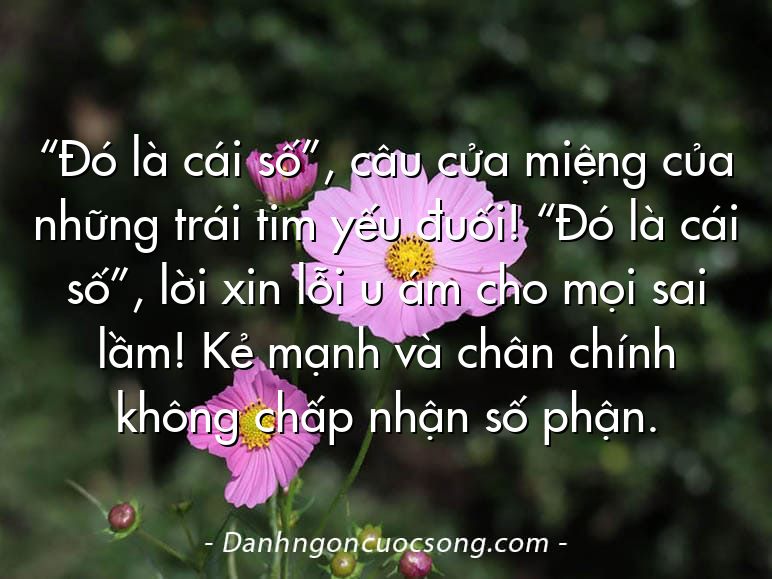 “Đó là cái số”, câu cửa miệng của những trái tim yếu đuối! “Đó là cái số”, lời xin lỗi u ám cho mọi sai lầm! Kẻ mạnh và chân chính không chấp nhận số phận.