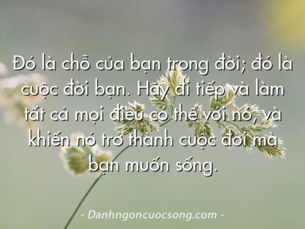 Đó là chỗ của bạn trong đời; đó là cuộc đời bạn. Hãy đi tiếp và làm tất cả mọi điều có thể với nó, và khiến nó trở thành cuộc đời mà bạn muốn sống.