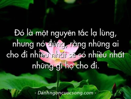 Đó là một nguyên tắc lạ lùng, nhưng nó đúng, rằng những ai cho đi nhiều nhất sẽ có nhiều nhất những gì họ cho đi.
