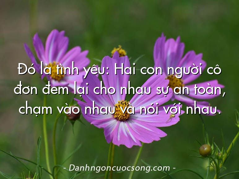 Đó là tình yêu: Hai con người cô đơn đem lại cho nhau sự an toàn, chạm vào nhau và nói với nhau.