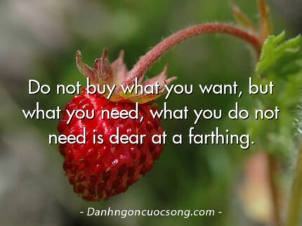 Do not buy what you want, but what you need, what you do not need is dear at a farthing.