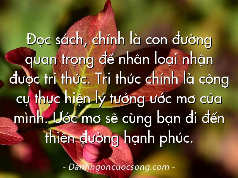 Đọc sách, chính là con đường quan trọng để nhân loại nhận được tri thức. Tri thức chính là công cụ thực hiện lý tưởng ước mơ của mình. Ước mơ sẽ cùng bạn đi đến thiên đường hạnh phúc.