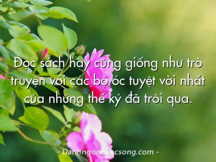 Đọc sách hay cũng giống như trò truyện với các bộ óc tuyệt vời nhất của những thế kỷ đã trôi qua.