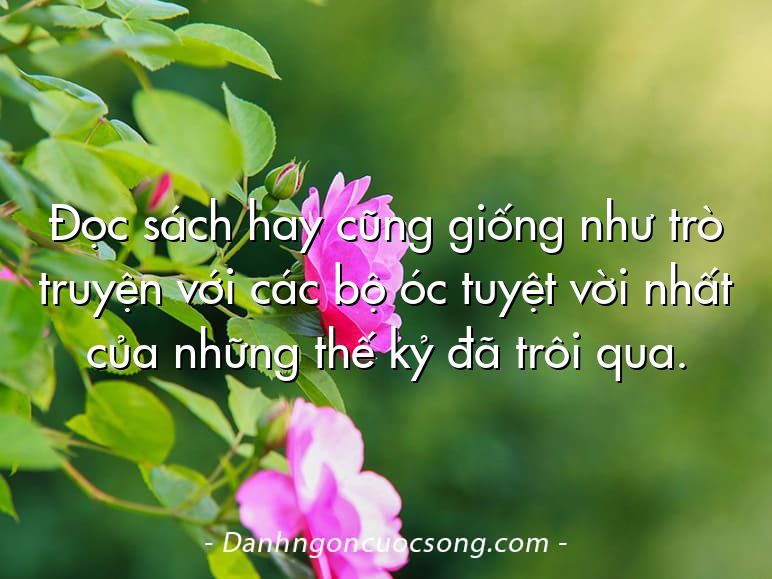 Đọc sách hay cũng giống như trò truyện với các bộ óc tuyệt vời nhất của những thế kỷ đã trôi qua.