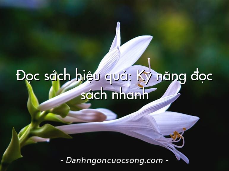 Đọc sách hiệu quả: Kỹ năng đọc sách nhanh