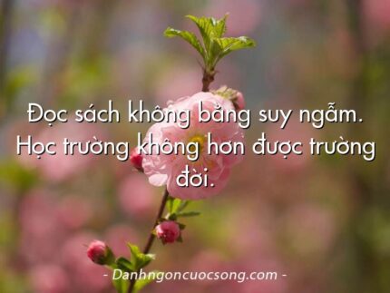 Đọc sách không bằng suy ngẫm. Học trường không hơn được trường đời.
