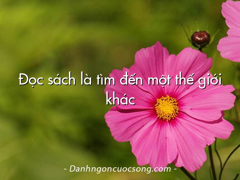 Đọc sách là tìm đến một thế giới khác