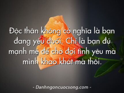 Độc thân không có nghĩa là bạn đang yếu đuối. Chỉ là bạn đủ mạnh mẽ để chờ đợi tình yêu mà mình khao khát mà thôi.