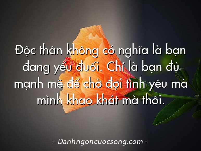Độc thân không có nghĩa là bạn đang yếu đuối. Chỉ là bạn đủ mạnh mẽ để chờ đợi tình yêu mà mình khao khát mà thôi.