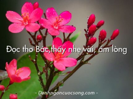 Đọc thơ Bác,thấy nhẹ vai, ấm lòng