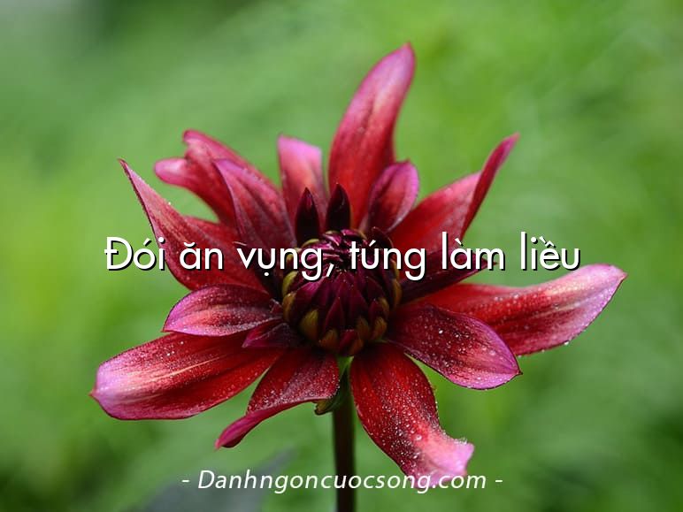 Đói ăn vụng, túng làm liều