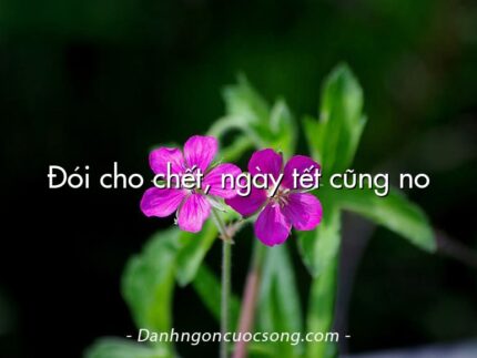 Đói cho chết, ngày tết cũng no