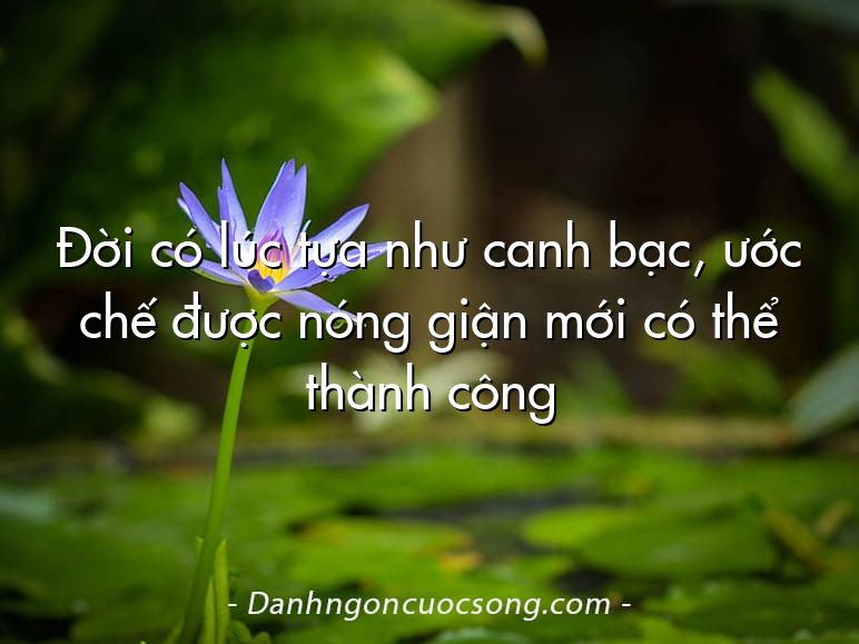 Đời có lúc tựa như canh bạc, ước chế được nóng giận mới có thể thành công