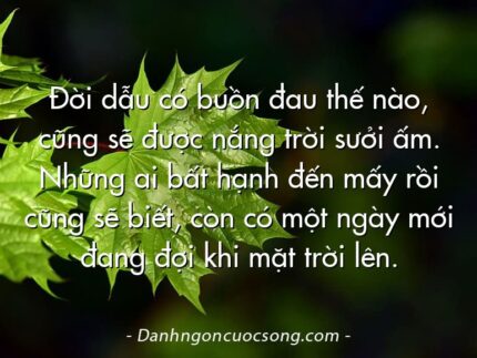 Đời dẫu có buồn đau thế nào, cũng sẽ được nắng trời sưởi ấm. Những ai bất hạnh đến mấy rồi cũng sẽ biết, còn có một ngày mới đang đợi khi mặt trời lên.