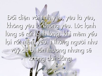 Đối diện với tình yêu, yêu là yêu, không yêu là không yêu. Lúc lạnh lùng sẽ rất lạnh lùng, khi mềm yếu lại rất mềm yếu. Những người như vậy dễ bị tổn thương nhưng sẽ không dai dẳng.