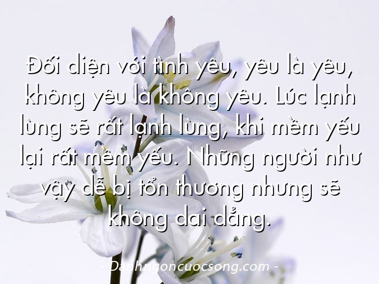 Đối diện với tình yêu, yêu là yêu, không yêu là không yêu. Lúc lạnh lùng sẽ rất lạnh lùng, khi mềm yếu lại rất mềm yếu. Những người như vậy dễ bị tổn thương nhưng sẽ không dai dẳng.