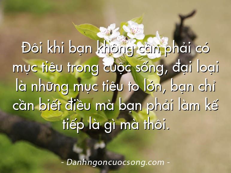 Đôi khi bạn không cần phải có mục tiêu trong cuộc sống, đại loại là những mục tiêu to lớn, bạn chỉ cần biết điều mà bạn phải làm kế tiếp là gì mà thôi.