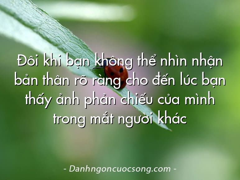 Đôi khi bạn không thể nhìn nhận bản thân rõ ràng cho đến lúc bạn thấy ảnh phản chiếu của mình trong mắt người khác