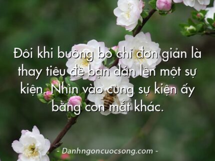 Đôi khi buông bỏ chỉ đơn giản là thay tiêu đề bạn dán lên một sự kiện. Nhìn vào cùng sự kiện ấy bằng con mắt khác.