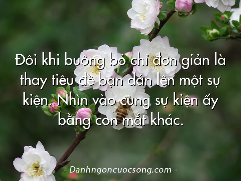 Đôi khi buông bỏ chỉ đơn giản là thay tiêu đề bạn dán lên một sự kiện. Nhìn vào cùng sự kiện ấy bằng con mắt khác.
