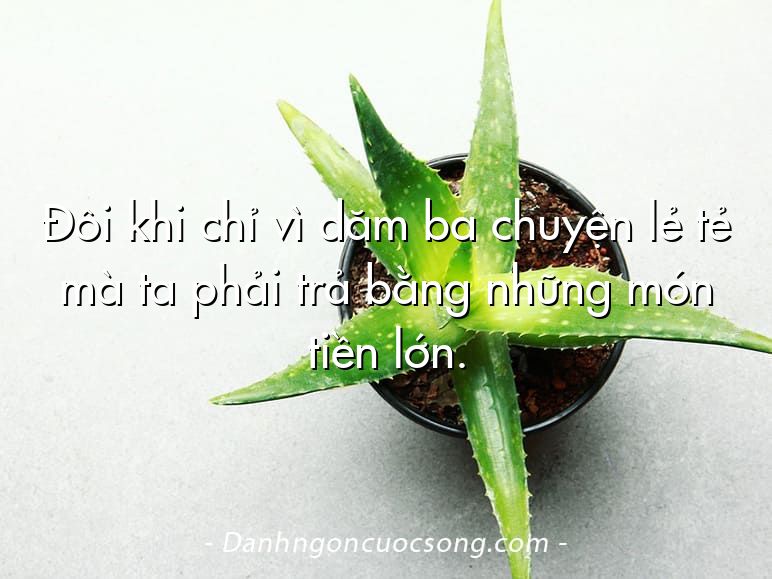 Đôi khi chỉ vì dăm ba chuyện lẻ tẻ mà ta phải trả bằng những món tiền lớn.