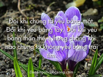 Đôi khi chúng ta yêu bằng mắt. Đôi khi yêu bằng tay. Đôi khi yêu bằng thân thể. Nhưng chẳng khi nào chúng ta không yêu bằng trái tim.