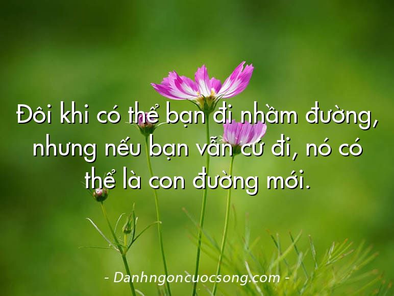 Đôi khi có thể bạn đi nhầm đường, nhưng nếu bạn vẫn cứ đi, nó có thể là con đường mới.