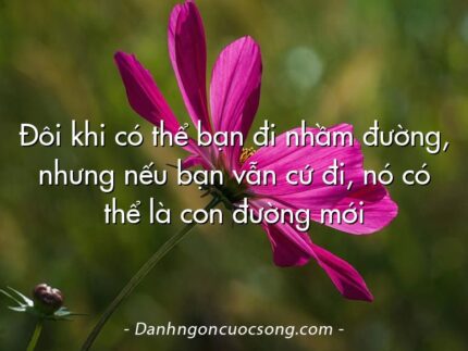 Đôi khi có thể bạn đi nhầm đường, nhưng nếu bạn vẫn cứ đi, nó có thể là con đường mới