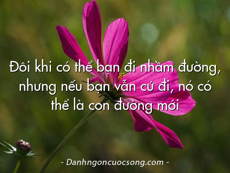 Đôi khi có thể bạn đi nhầm đường, nhưng nếu bạn vẫn cứ đi, nó có thể là con đường mới