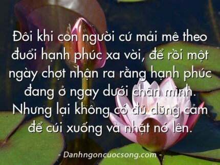 Đôi khi con người cứ mải mê theo đuổi hạnh phúc xa vời, để rồi một ngày chợt nhận ra rằng hạnh phúc đang ở ngay dưới chân mình. Nhưng lại không có đủ dũng cảm để cúi xuống và nhặt nó lên.