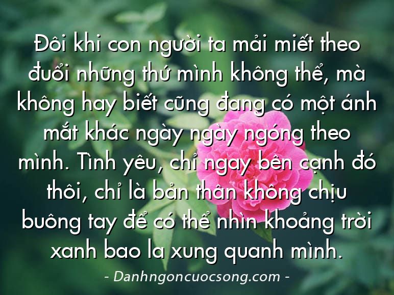 Đôi khi con người ta mải miết theo đuổi những thứ mình không thể, mà không hay biết cũng đang có một ánh mắt khác ngày ngày ngóng theo mình. Tình yêu, chỉ ngay bên cạnh đó thôi, chỉ là bản thân không chịu buông tay để có thể nhìn khoảng trời xanh bao la xung quanh mình.